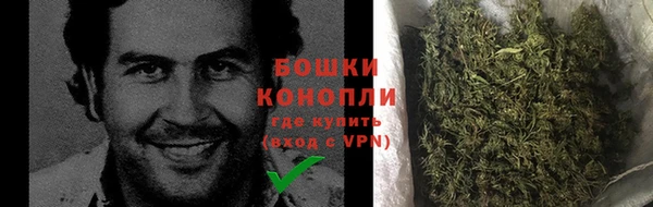 амф Аркадак