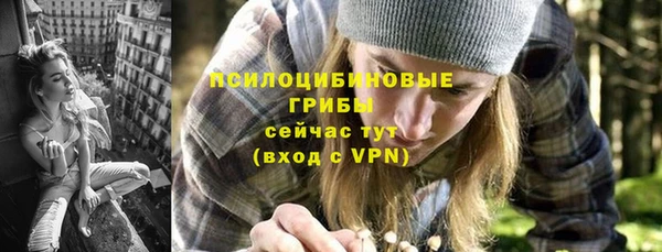 амф Аркадак