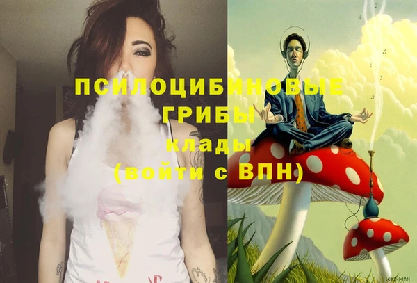 прущая мука Арсеньев