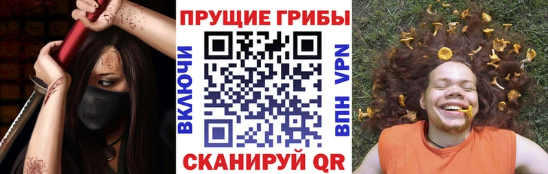 закладки  blacksprut ССЫЛКА  Псилоцибиновые грибы GOLDEN TEACHER  Велиж 