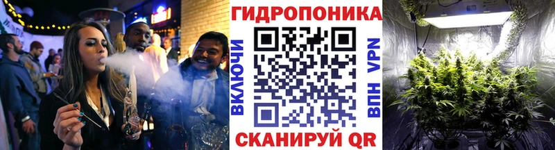 hydra ссылки  Велиж  Канабис планчик 